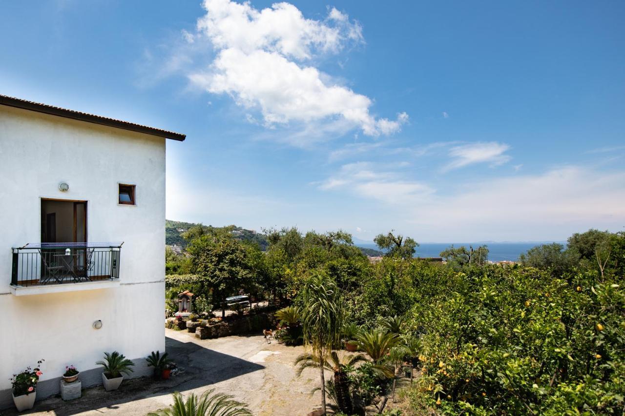 Yourhome - San Valerio Home Sorrento Eksteriør billede